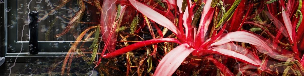 Shop POLA | Isetan KL Online Store