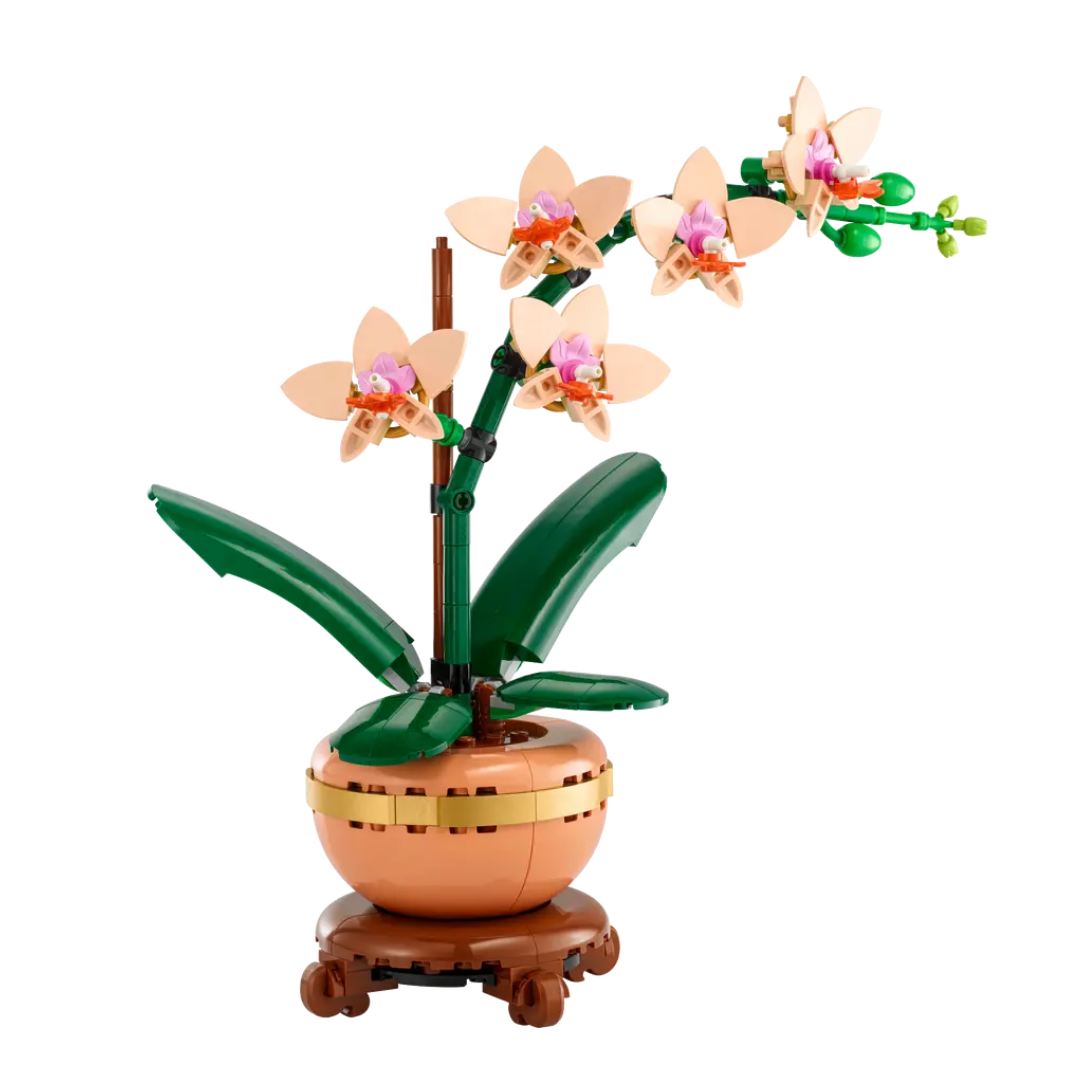 10343 Mini Orchid
