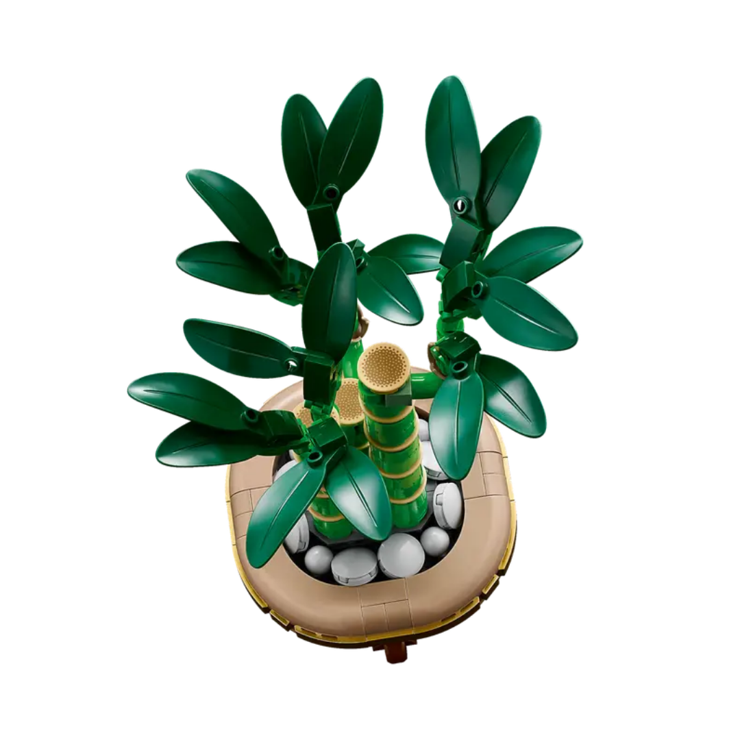 10344 Lucky Bamboo