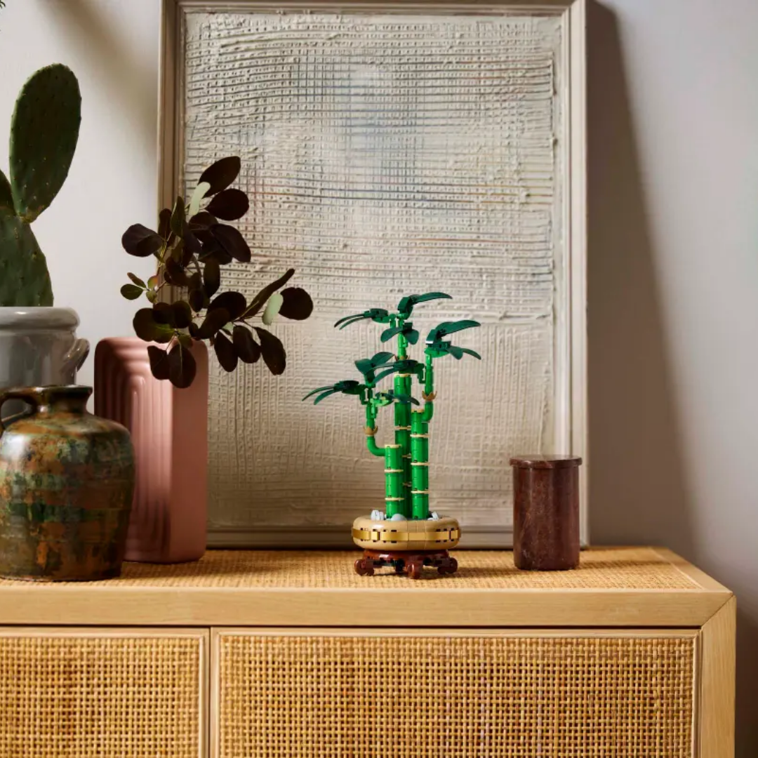 10344 Lucky Bamboo
