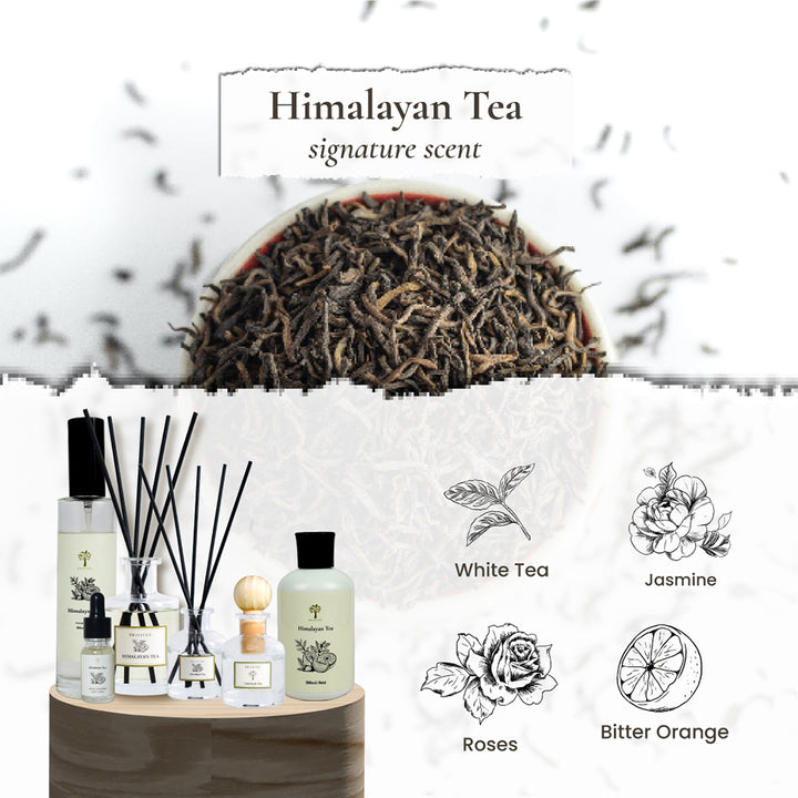 Signature Scents Reed Diffuser - Himalayan Tea