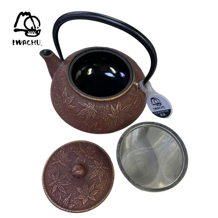 IWACHU Cast Iron Kikkou Teapot Kettle with Tea Strainer 0.65L (Brown & Gold) | Isetan KL Online Store