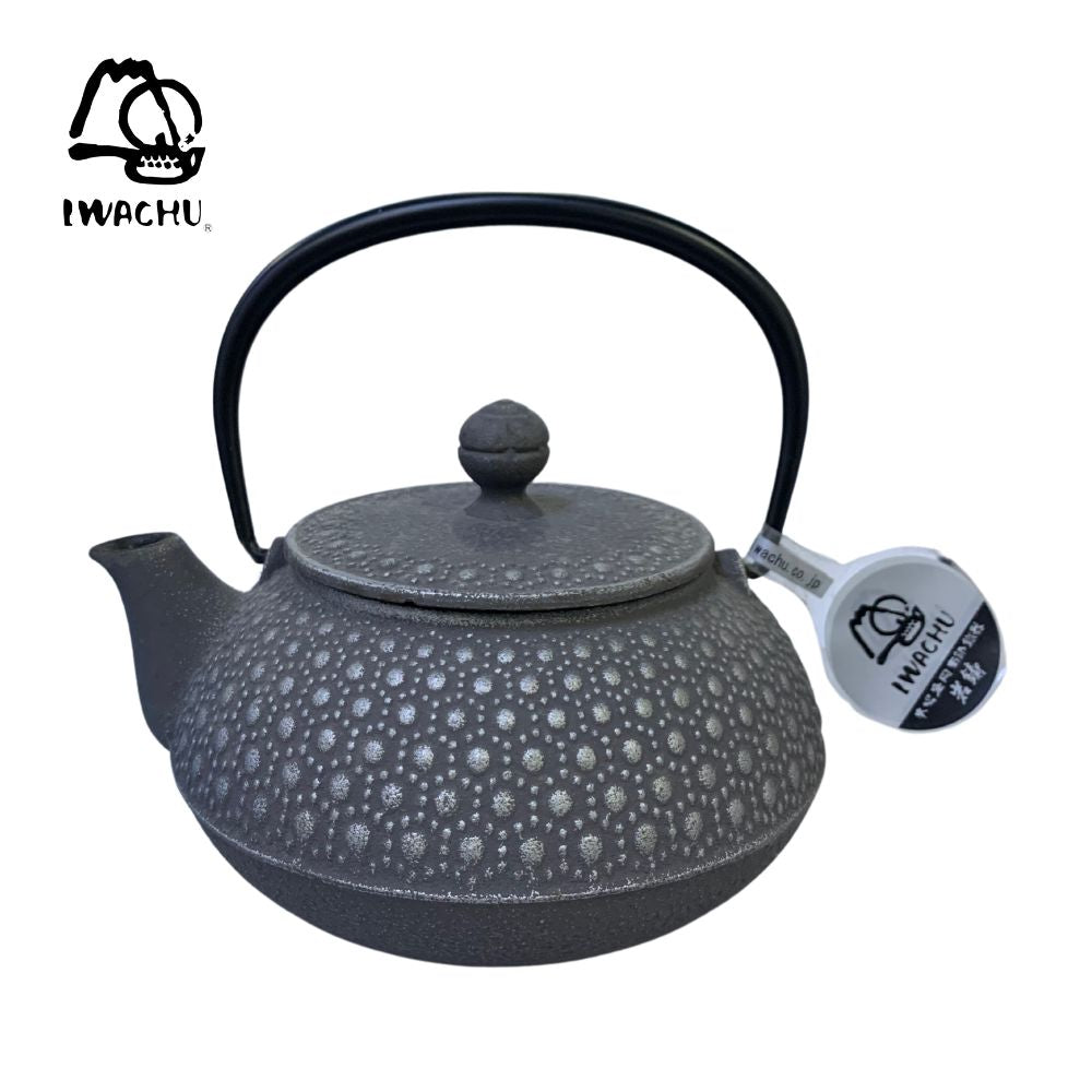 IWACHU Cast Iron Kikkou Teapot Kettle with Tea Strainer 0.65L (Silver & Grey) | Isetan KL Online Store