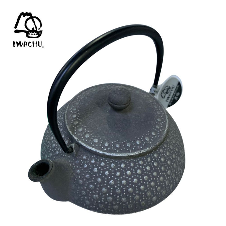 IWACHU Cast Iron Kikkou Teapot Kettle with Tea Strainer 0.65L (Silver & Grey) | Isetan KL Online Store