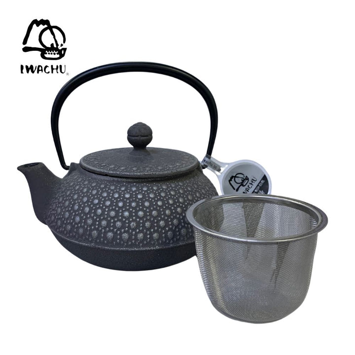 IWACHU Cast Iron Kikkou Teapot Kettle with Tea Strainer 0.65L (Silver & Grey) | Isetan KL Online Store
