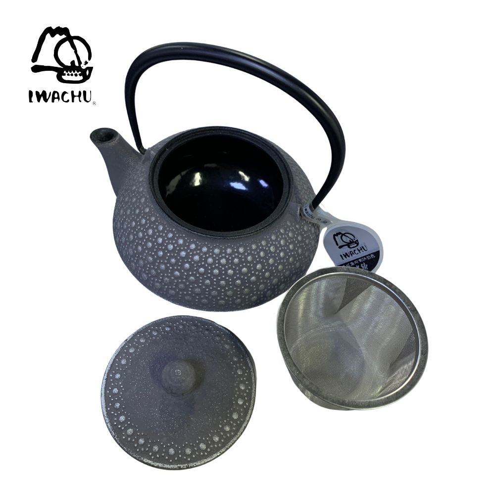 IWACHU Cast Iron Kikkou Teapot Kettle with Tea Strainer 0.65L (Silver & Grey) | Isetan KL Online Store