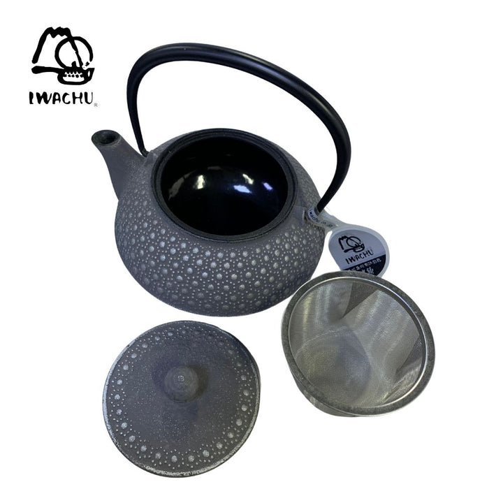 IWACHU Cast Iron Kikkou Teapot Kettle with Tea Strainer 0.65L (Silver & Grey) | Isetan KL Online Store