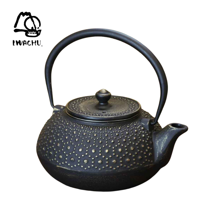 IWACHU Cast Iron Teapot Kettle with Tea Strainer 0.32L (Black & Gold) | Isetan KL Online Store