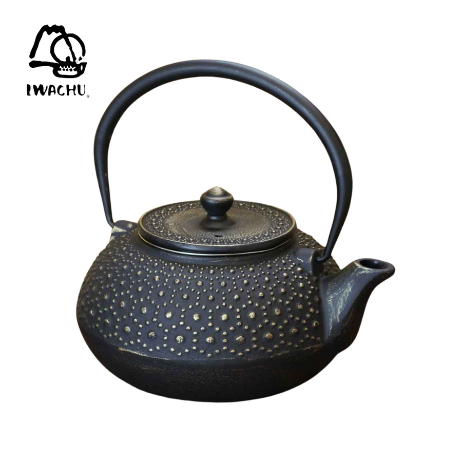 IWACHU Cast Iron Teapot Kettle with Tea Strainer 0.32L (Black & Gold) | Isetan KL Online Store