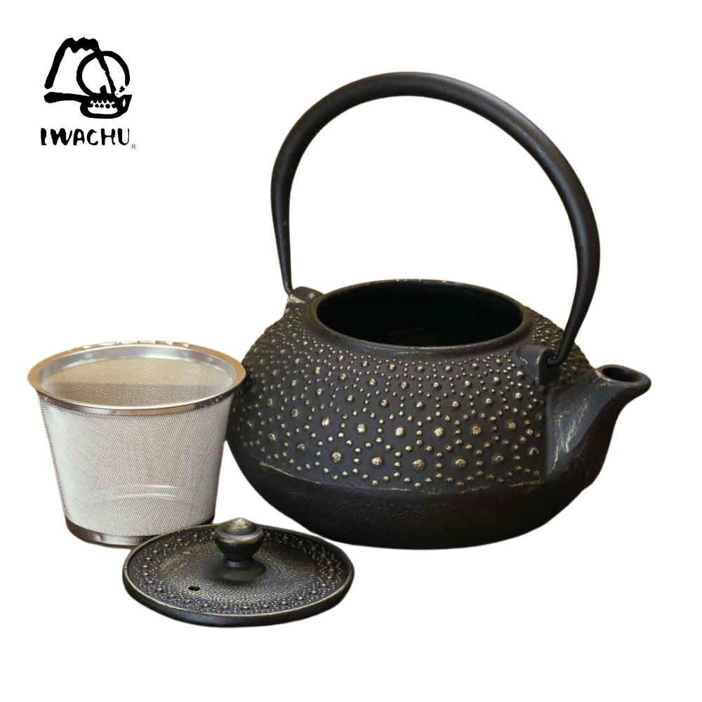IWACHU Cast Iron Teapot Kettle with Tea Strainer 0.32L (Black & Gold) | Isetan KL Online Store