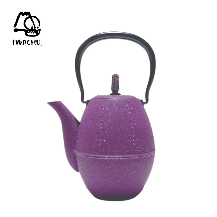 IWACHU Rice Teapot with Tea Strainer 0.6L (Silver & Grape) | Isetan KL Online Store