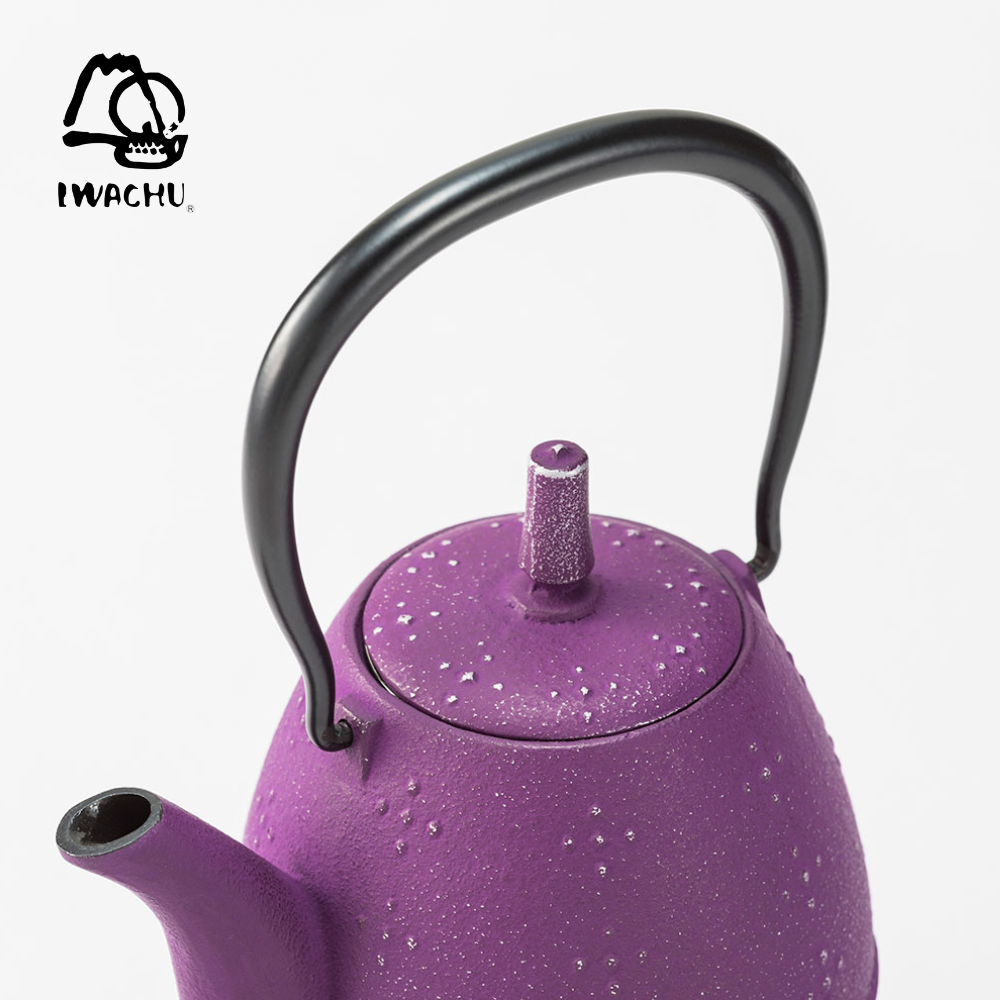 IWACHU Rice Teapot with Tea Strainer 0.6L (Silver & Grape) | Isetan KL Online Store