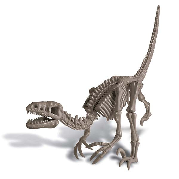 4M KidzLabs Dig a Velociraptor Skeleton | Isetan KL Online Store