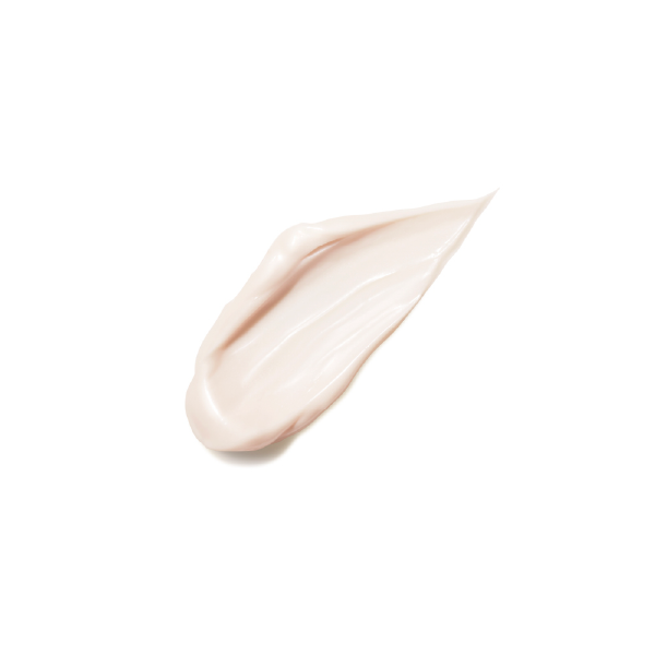 KANEBO Cream In Day 40g | Isetan KL Online Store