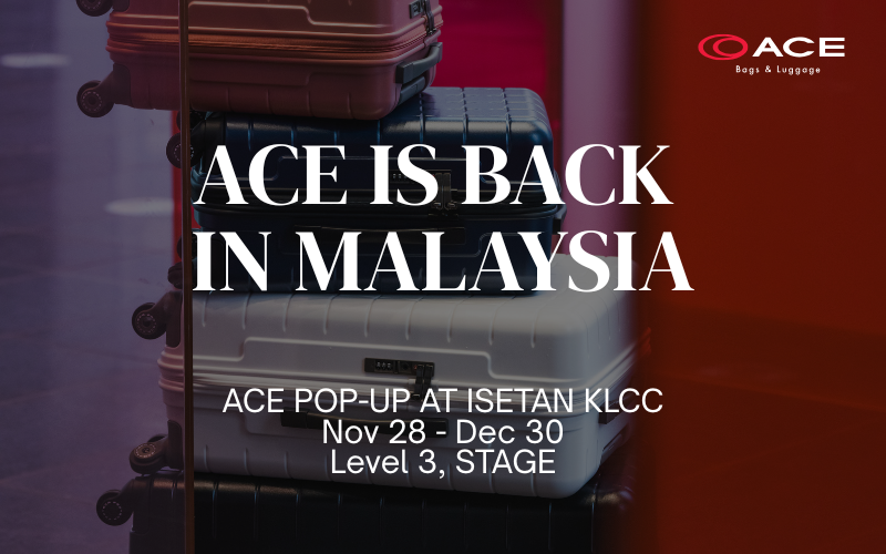 ACE Luggage