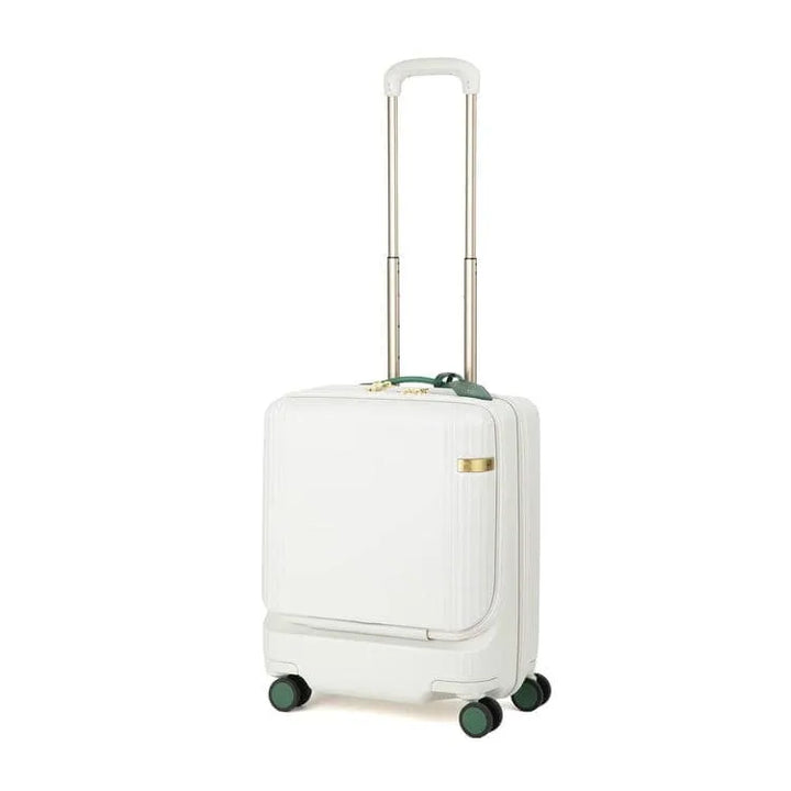 ace. Tokyo Hayu Sedum 40L Carry On