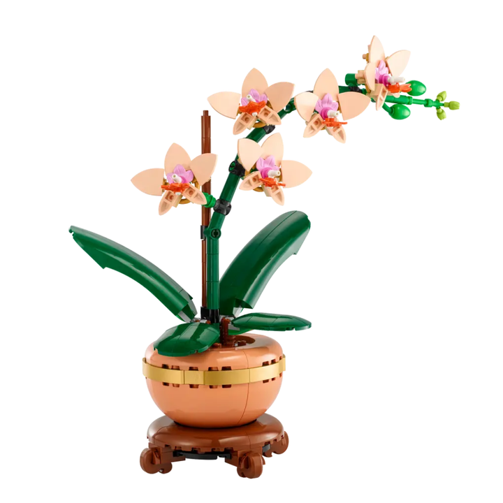 10343 Mini Orchid
