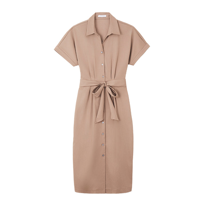 Brown Dress