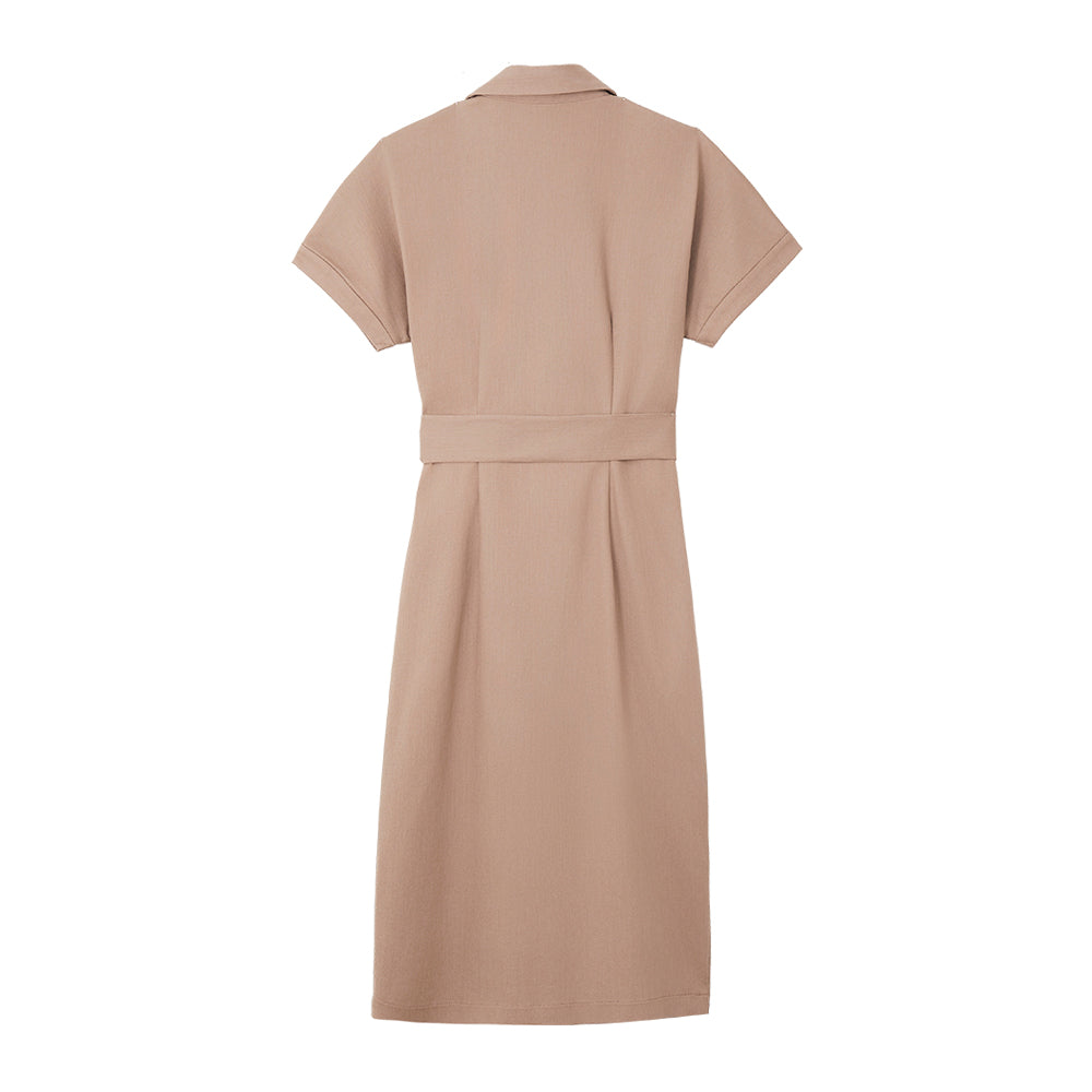 Brown Dress