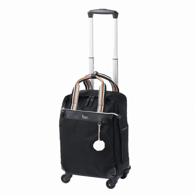 VYGrose TR 15246 Soft Trolley 22L