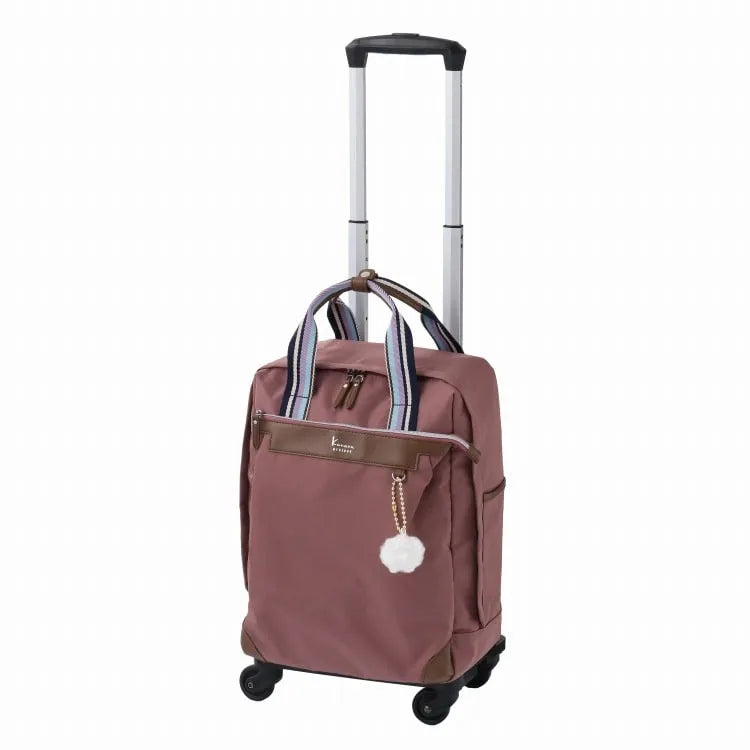 VYGrose TR 15246 Soft Trolley 22L