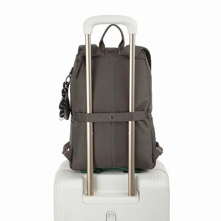 ace. Tokyo HAyU Ficus Backpack 20L