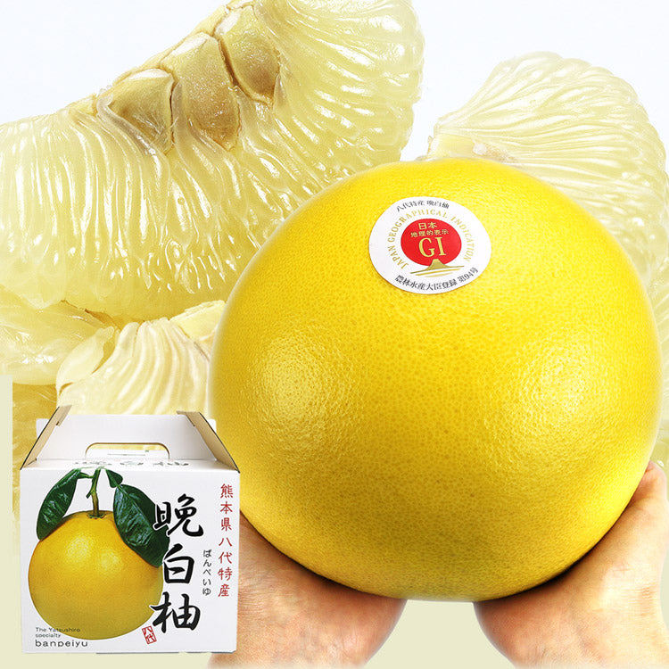 [Pre-order] Banpeiyu (Size L) 1.5kg 1pc