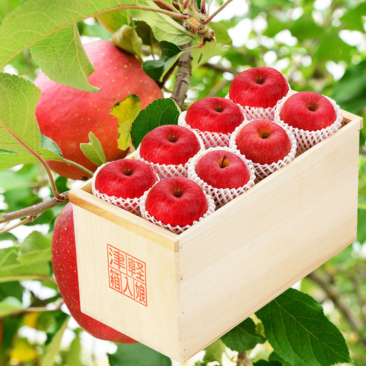 [Pre-order] Aomori’s Sun Fuji in Tsugaru Box 16pcs