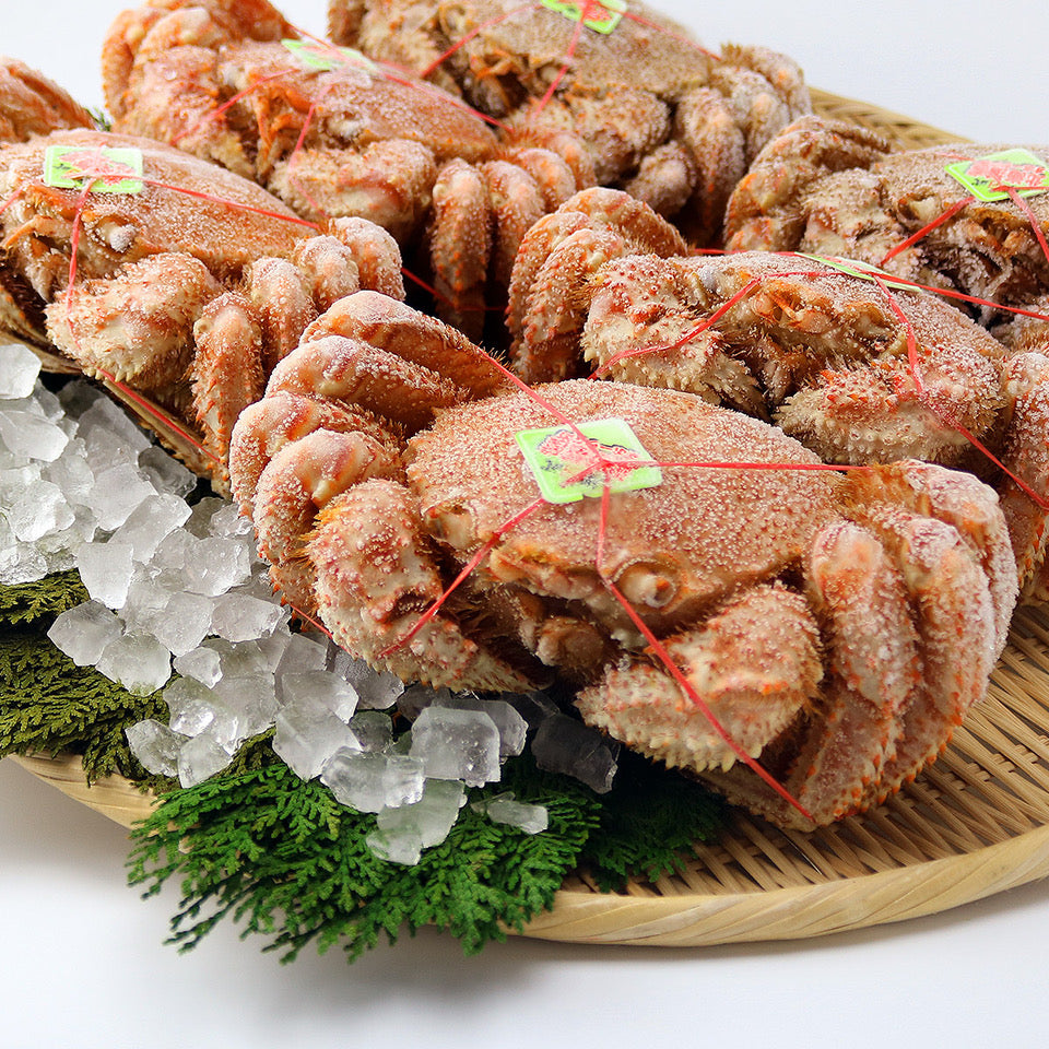 [Pre-order] Horsehair Crab XL (6’s) Approx.4kg