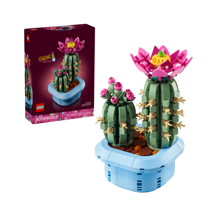 11509 Flowering Cactus