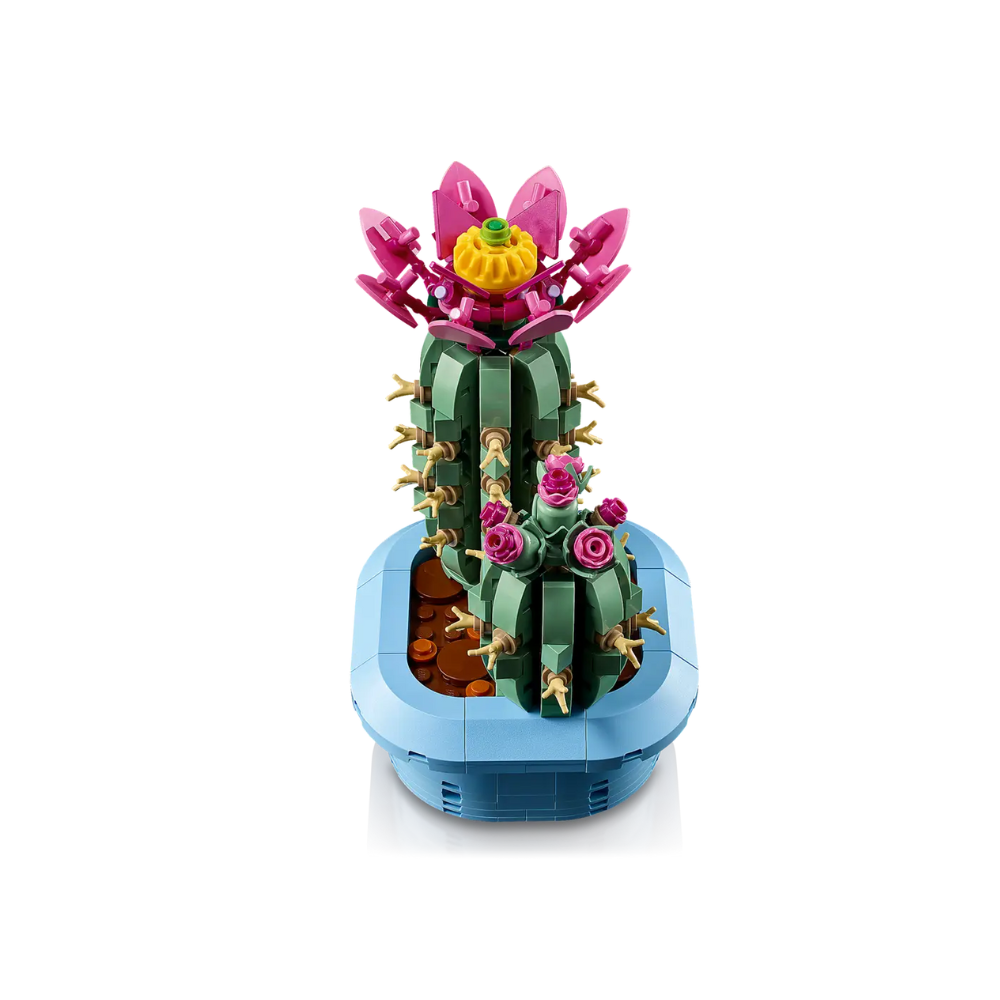 11509 Flowering Cactus