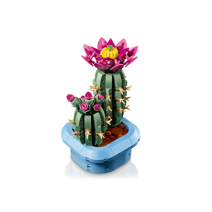 11509 Flowering Cactus