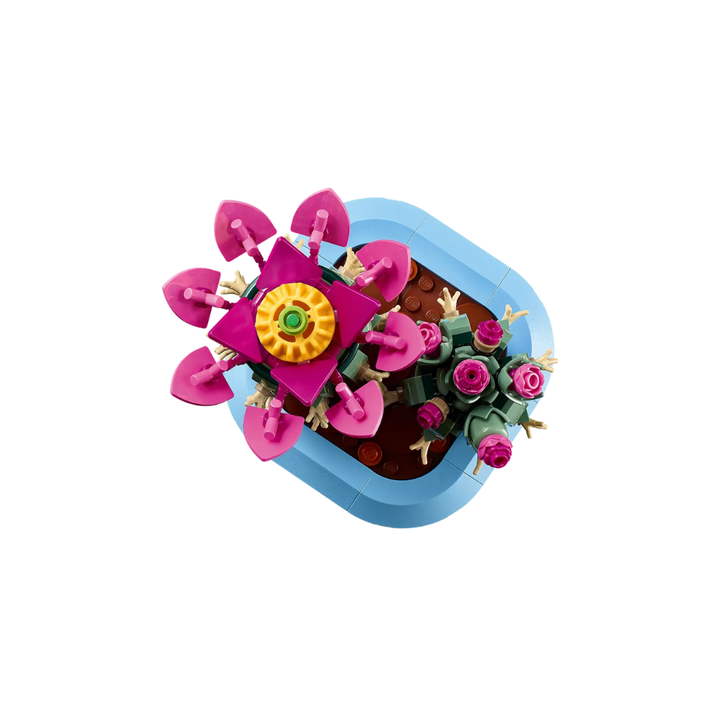 11509 Flowering Cactus