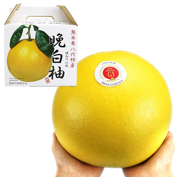 [Pre-order] Banpeiyu (Size L) 1.5kg 1pc