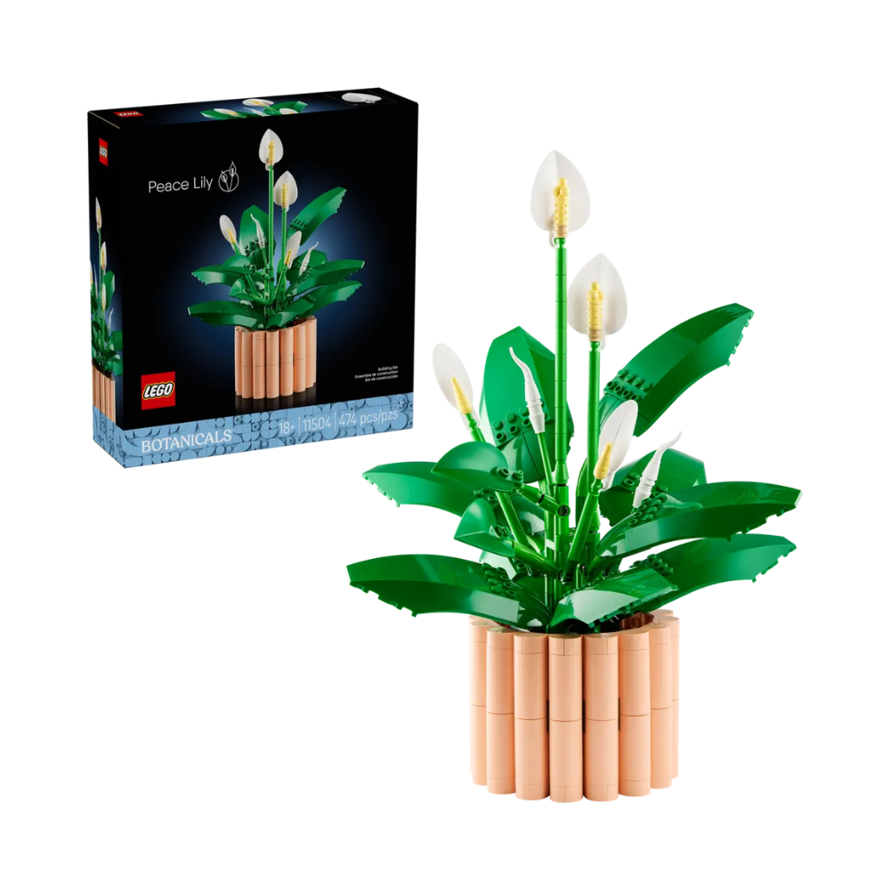 11504 Peace Lily