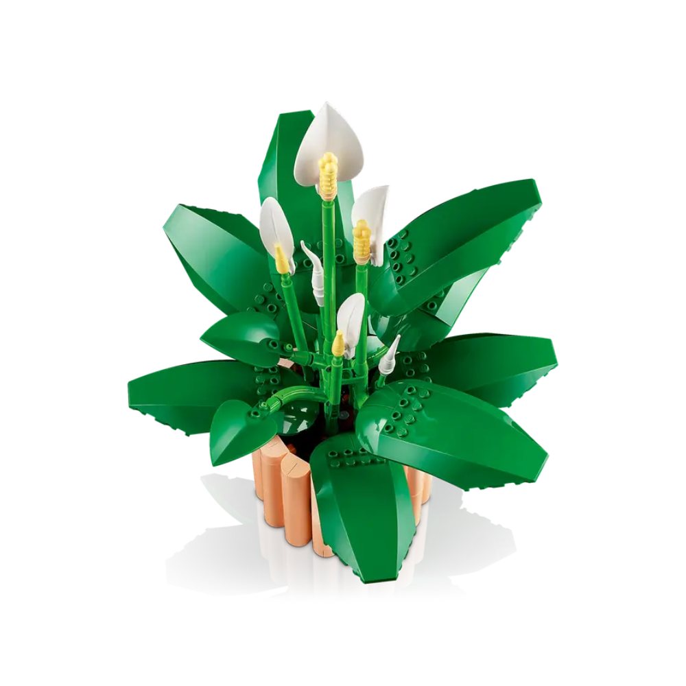 11504 Peace Lily