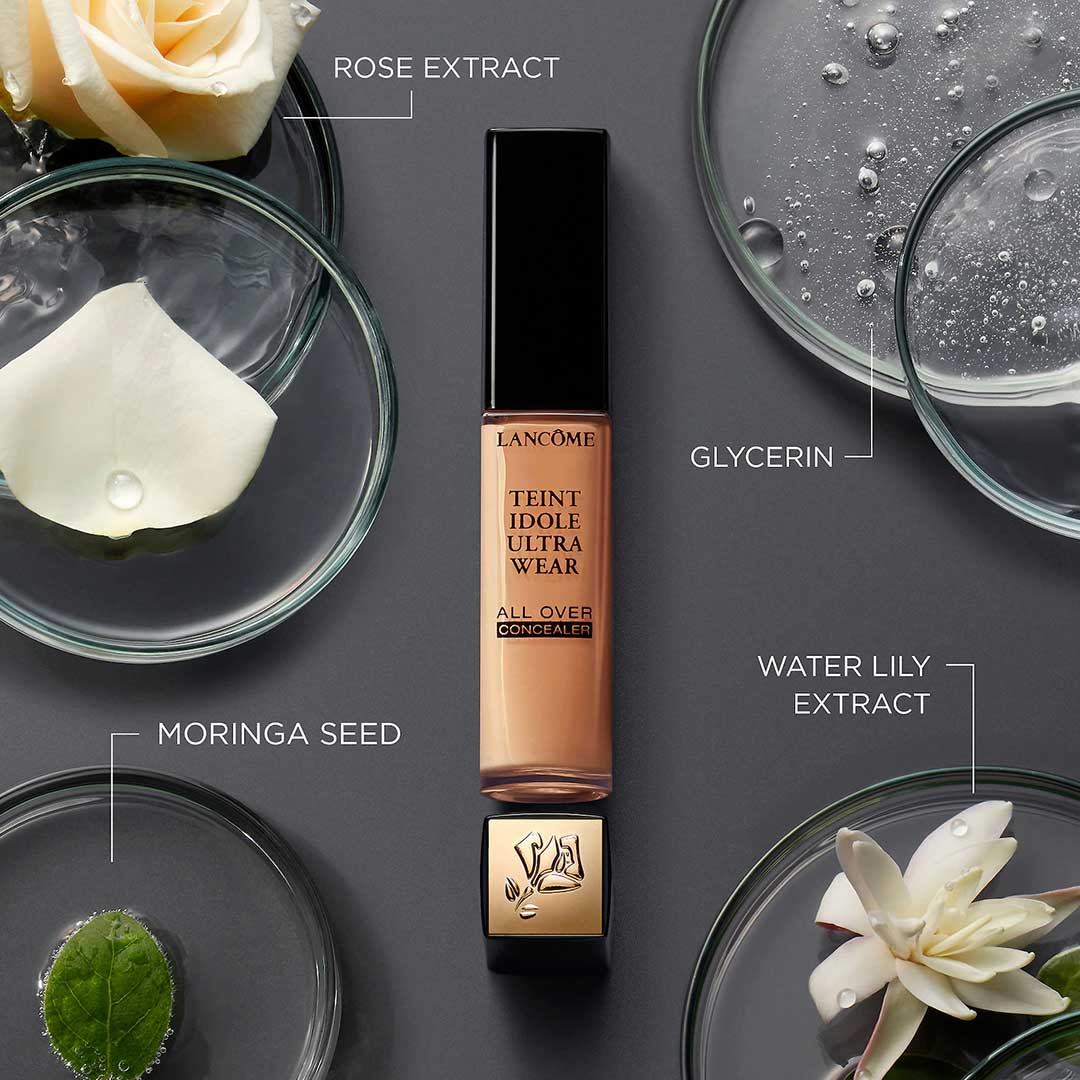 Teint Idole Ultra Wear All Over Concealer