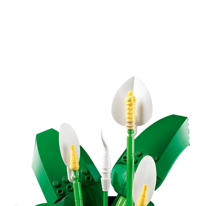 11504 Peace Lily