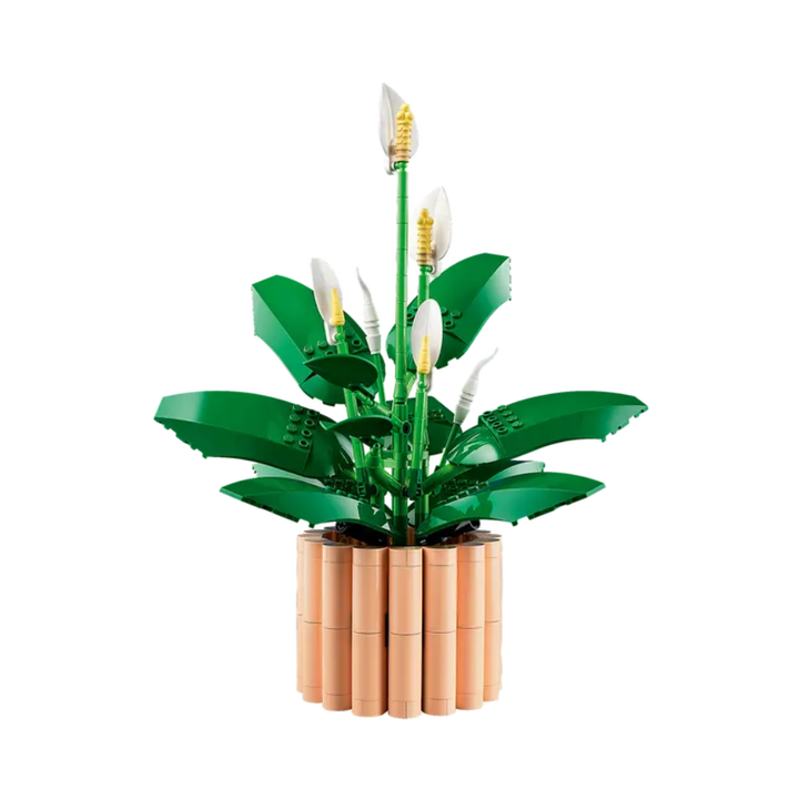 11504 Peace Lily