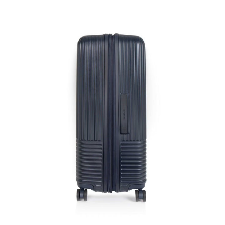 Apinex Spinner Exp (Matt D.Nvy)