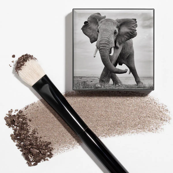 Shade & Sweep Eye Brush
