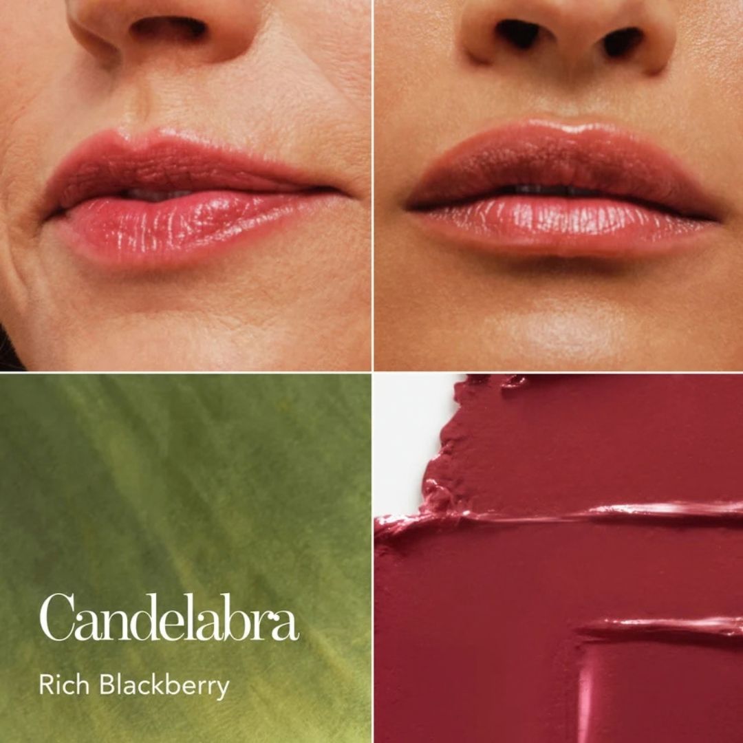Lion Guardian Lip Veil