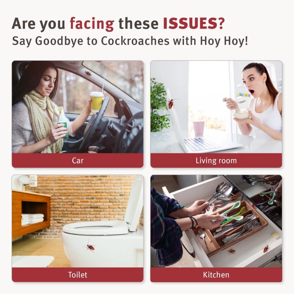 [Bundle of 2] Hoy Hoy Trap-A-Roach Cockroach Trap 3 sets