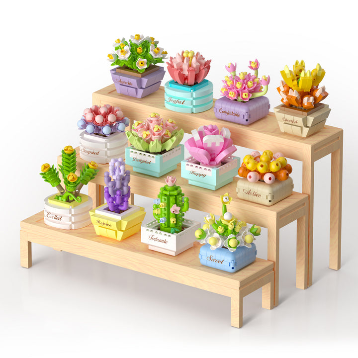 Succulent Plants Assortments Series