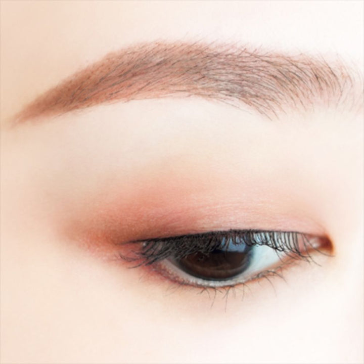 CANMAKE Perfect Multi Eyes (3 colors)