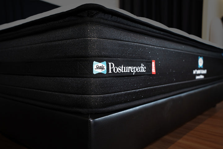 [145th Anniversary Limited Edition] Posturepedic Elevate