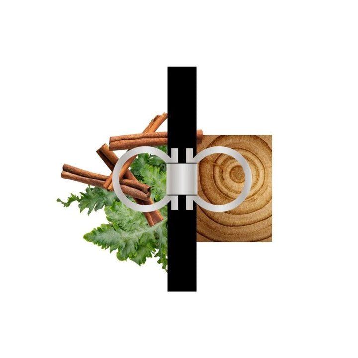 Ferragamo Sublime Leather EDP 100ml