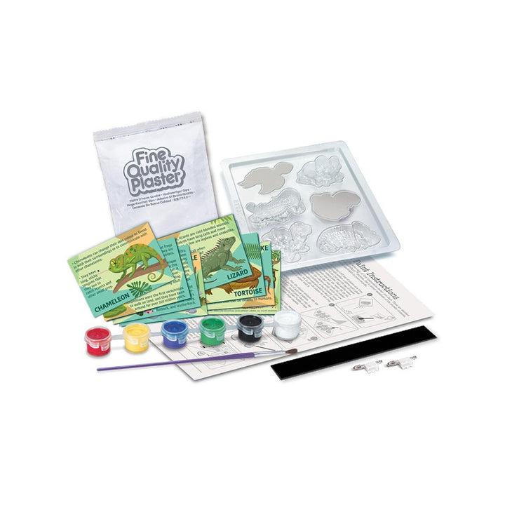 Mould & Paint Reptile and Amphibian
