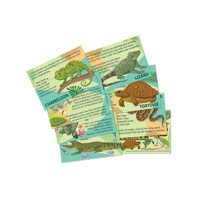 Mould & Paint Reptile and Amphibian