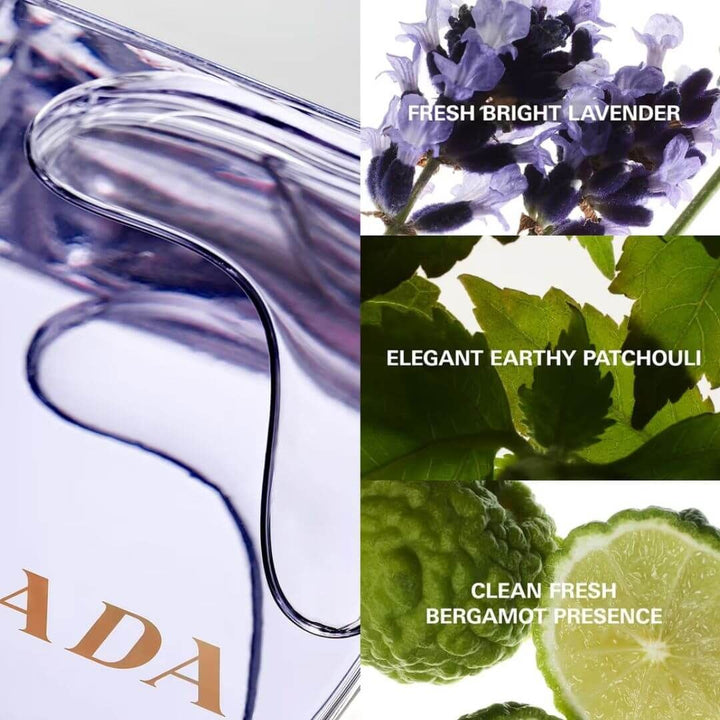 (Special Price) Prada Amber Pour Homme EDT 100ml